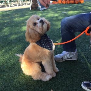 Meet your Posher, Janet